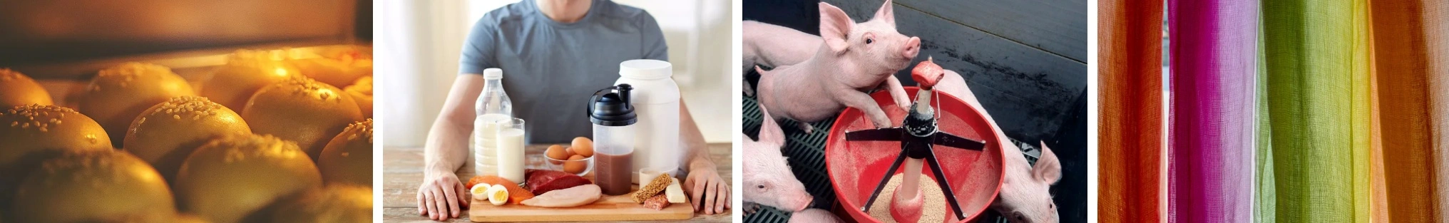 Organic fava bean protein Organic fava bean protein