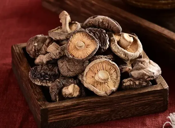 organic shiitake mushroom extract
