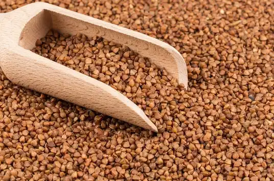 buckwheat extract