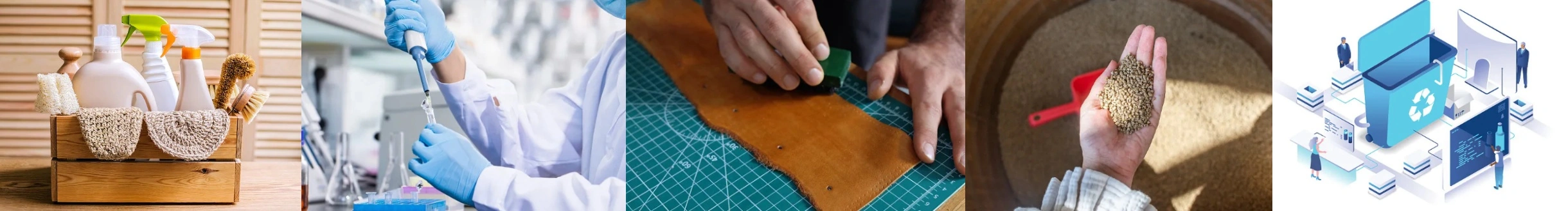 Protease Alkaline Protease Alkaline