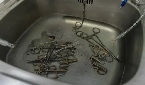 Protease Alkaline Protease Alkaline