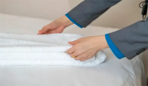 Protease Alkaline Protease Alkaline