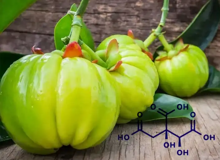 hydroxycitric acid powder