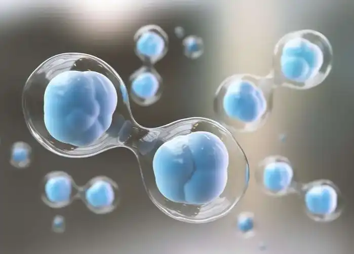 Piceatannol Piceatannol