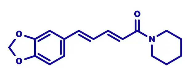 piperine supplement piperine supplement
