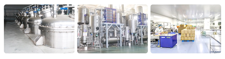 wheat germ extract spermidine wheat germ extract spermidine