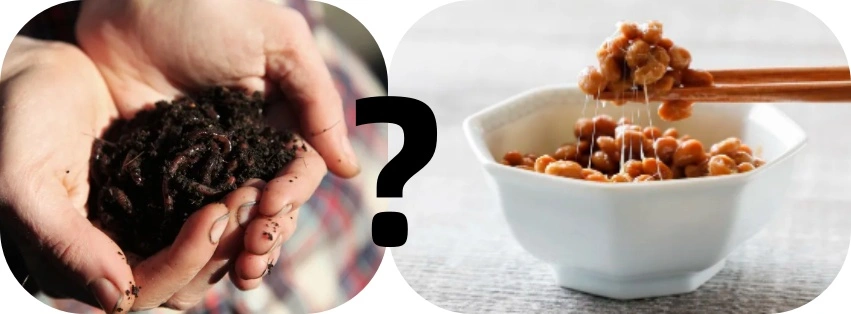 lumbrokinase powder lumbrokinase powder