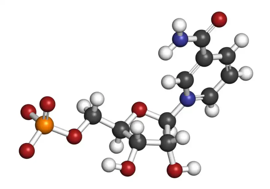 Liposomal NMN