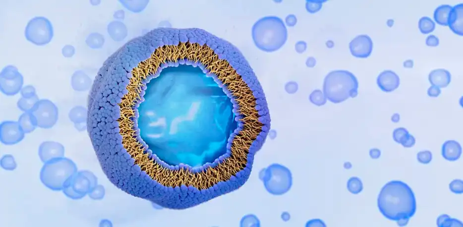 liposomal powder liposomal powder