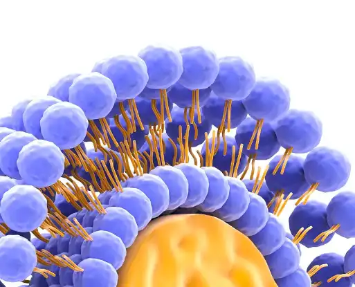 liposomal powder liposomal powder