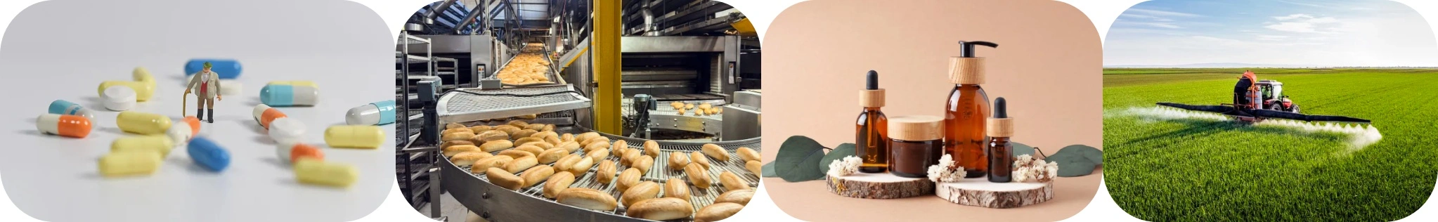 Epigallocatechin Gallate Powder