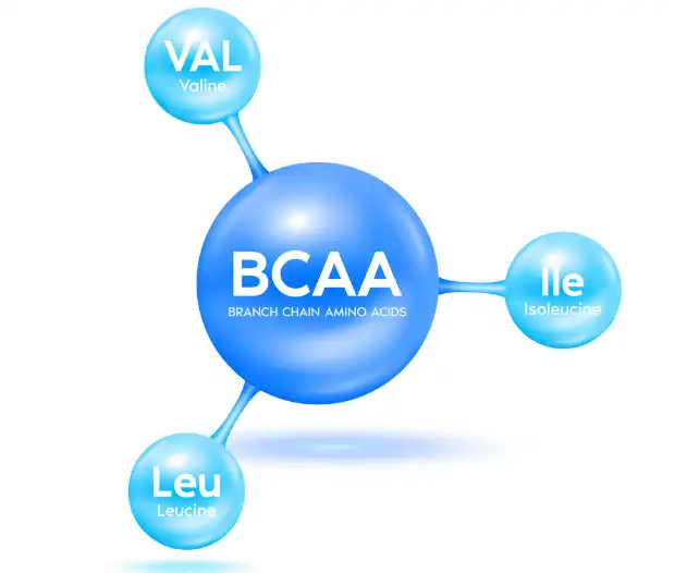 Branched Chain Amino Acids