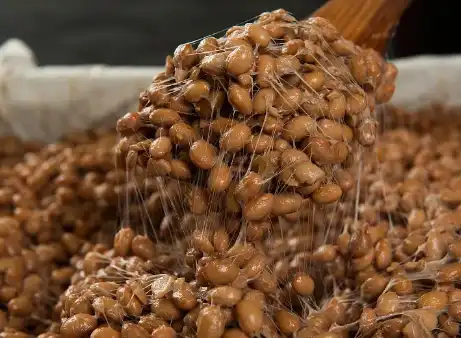 Nattokinase Nattokinase