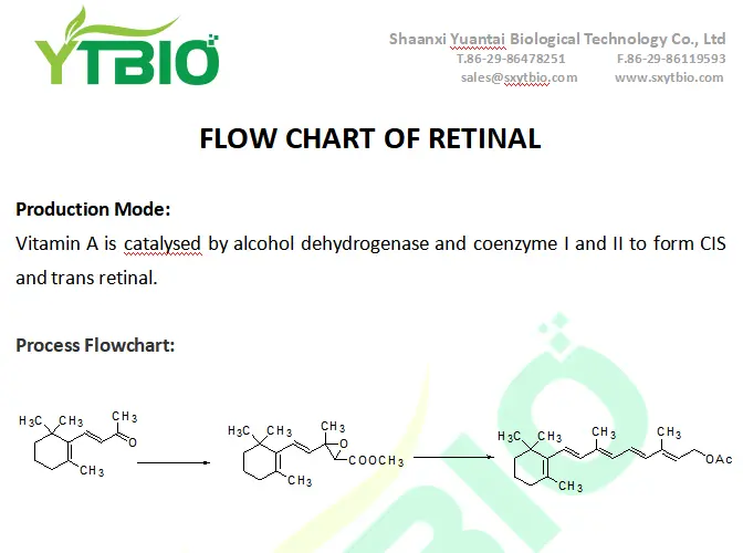 Retinal Powder Retinal Powder