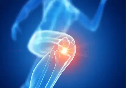 Serrapeptase Serrapeptase