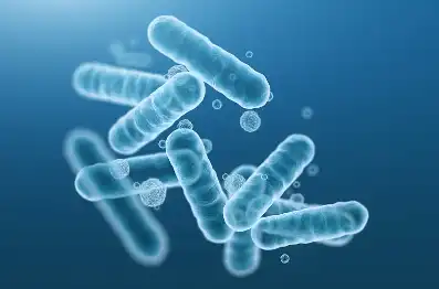 Diammonium Glycyrrhizinate Diammonium Glycyrrhizinate