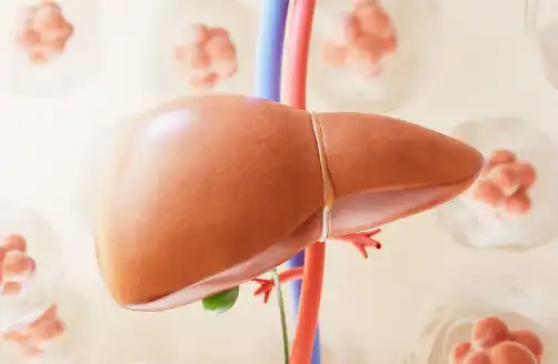 L-Cysteine Powder L-Cysteine Powder