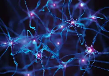 Vitamin D3 Vitamin D3