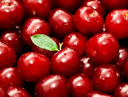 Tart Cherry Powder Tart Cherry Powder