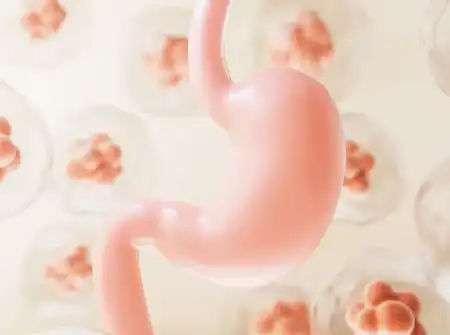 Bulk Organic Wheatgrass Powder Bulk Organic Wheatgrass Powder