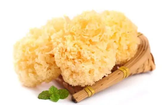 Tremella Fuciformis Extract Powder