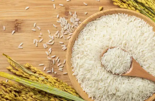 hydrolyzed rice protein powder