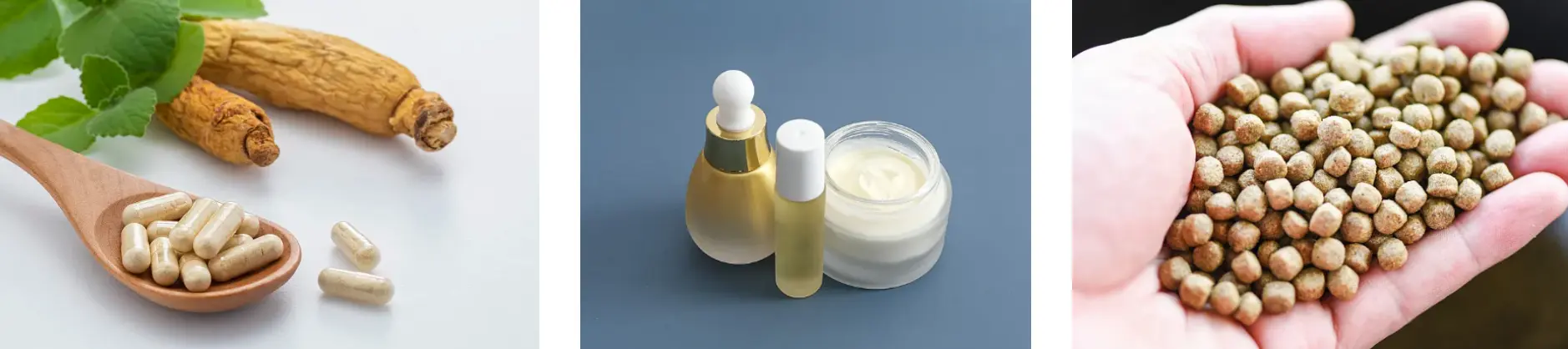 Korean Ginseng Root Extract Korean Ginseng Root Extract