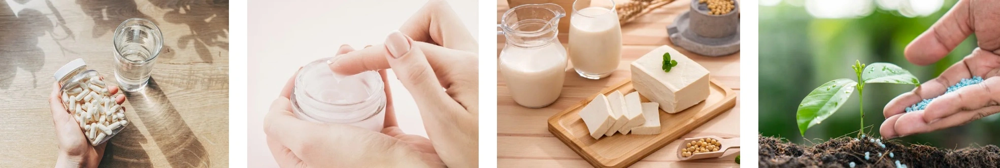 gluconic acid powder