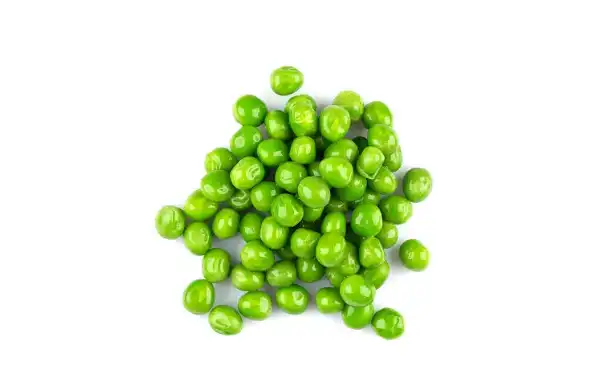 bulk pea starch bulk pea starch