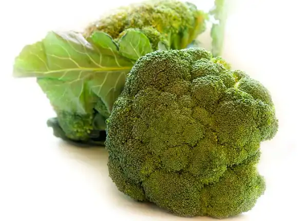 organic broccoli powder 