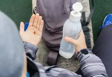 Creatine Hydrochloride Creatine Hydrochloride