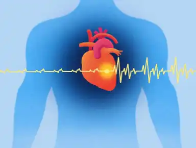 Wheat germ extract powder Wheat germ extract powder