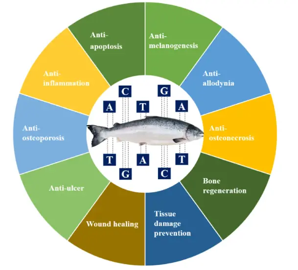 Salmon Sodium DNA Salmon Sodium DNA