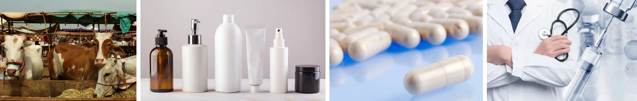 Biochanin Powder Biochanin Powder