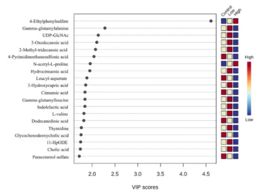 Biochanin Powder Biochanin Powder