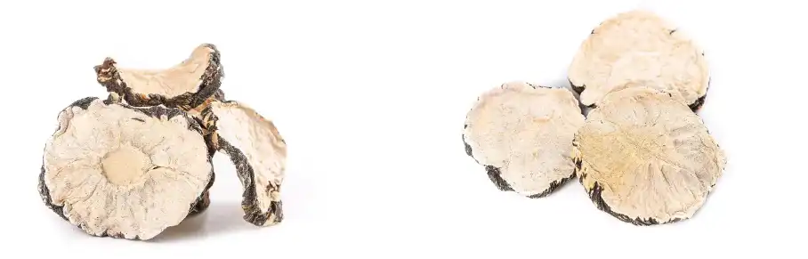 maca extract maca extract