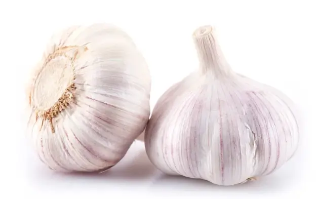 Garlic Extract Allicin Garlic Extract Allicin