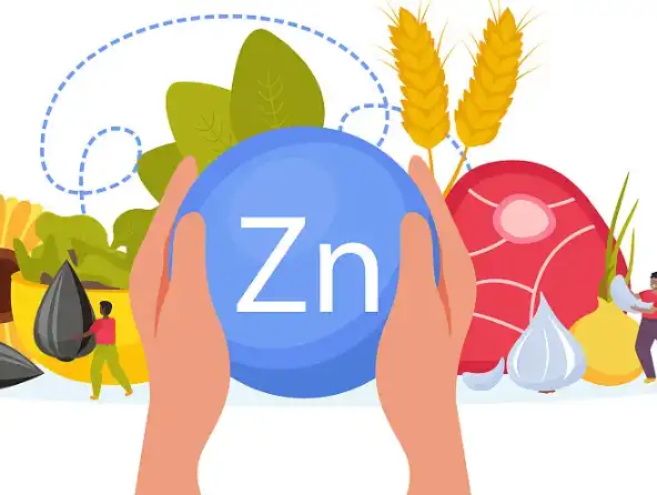 zinc lactate powder zinc lactate powder