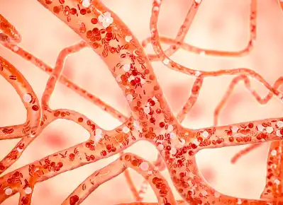 Hesperidin Methylchalcone Hesperidin Methylchalcone