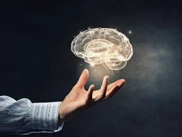 Black currant fruit powder Black currant fruit powder