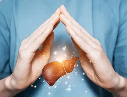 Bulk Ganoderma Lucidum Powder Bulk Ganoderma Lucidum Powder