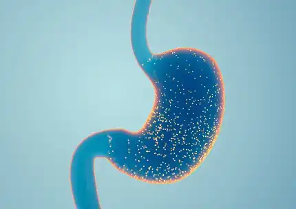 Hericium Erinaceus Powder Hericium Erinaceus Powder