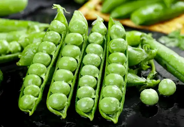 organic bulk pea starch organic bulk pea starch