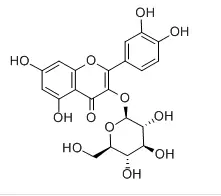 Isoquercitrin Powder