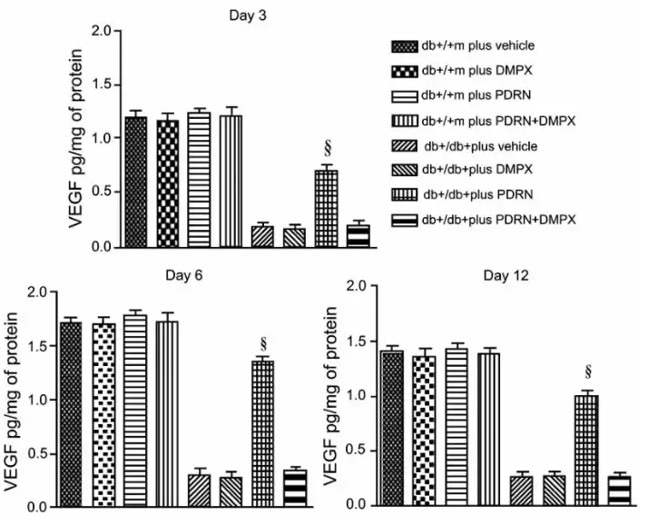 PDRN Powder PDRN Powder