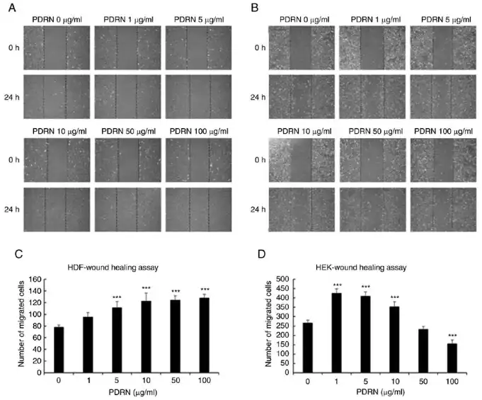 PDRN Powder PDRN Powder