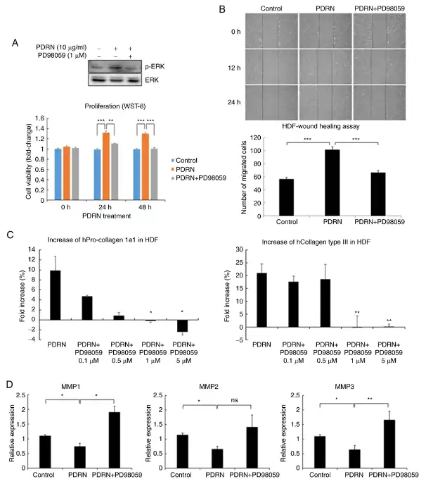 PDRN Powder PDRN Powder