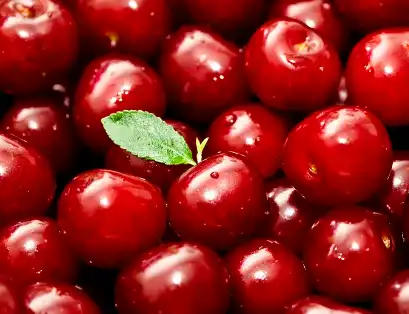Tart Cherry Extract Powder Tart Cherry Extract Powder