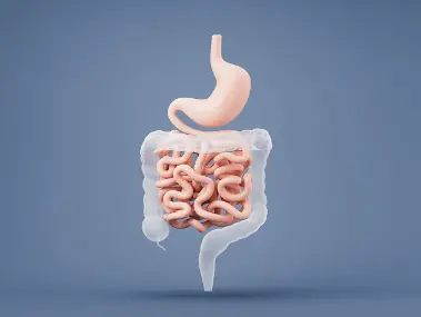 Tart Cherry Extract Powder Tart Cherry Extract Powder