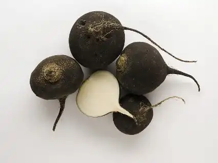 Black Radish Extract
